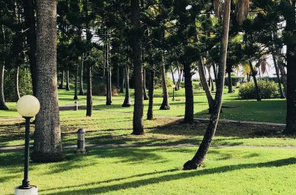 Anse des rochers rez jardin Vue de la terrasse
